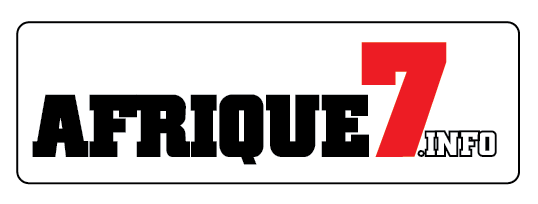 afrique7_Plan de travail 1